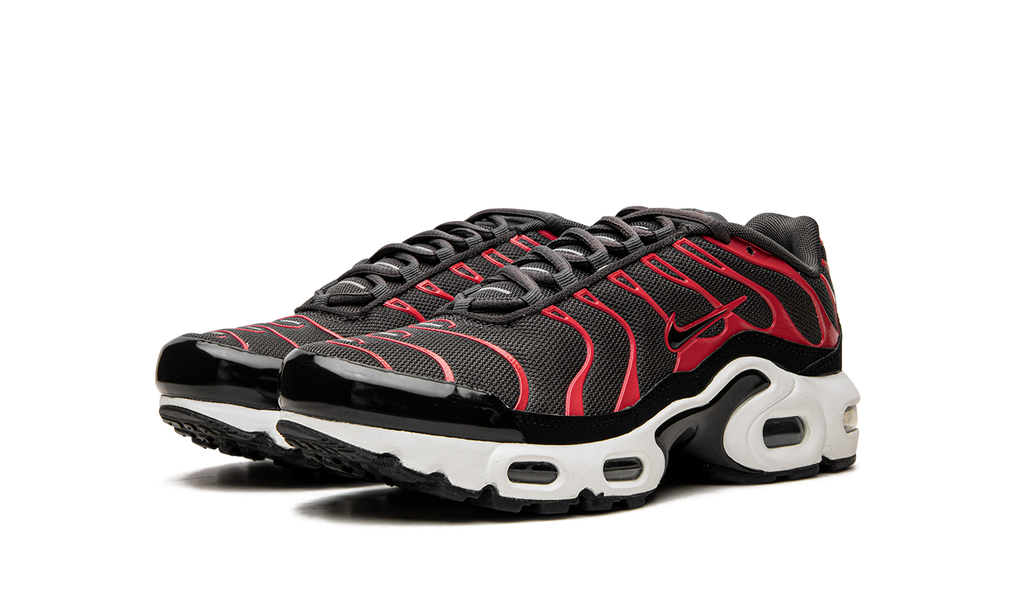 Nike Air Max Plus GS