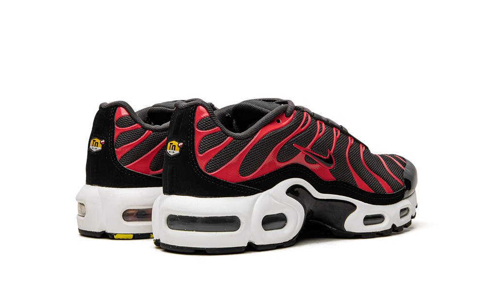 Nike Air Max Plus GS