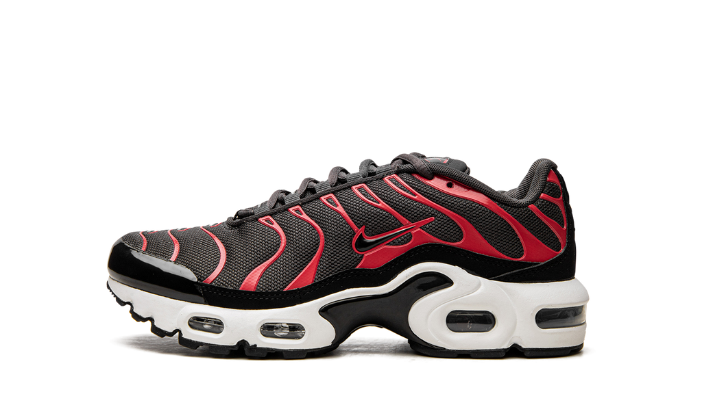 Nike Air Max Plus GS