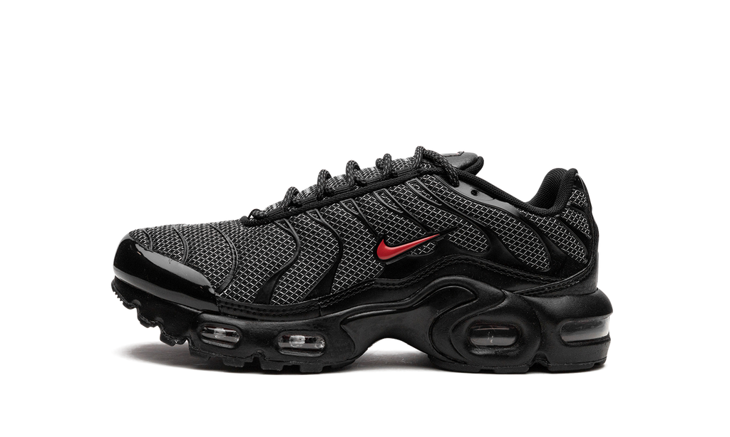 Nike Air Max Plus GS