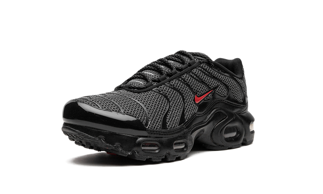 Nike Air Max Plus GS