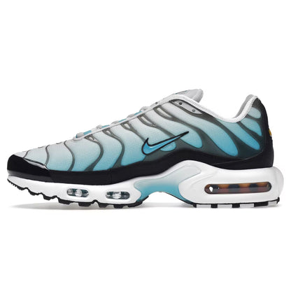 Trainers