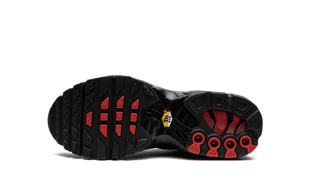 Nike Air Max Plus GS