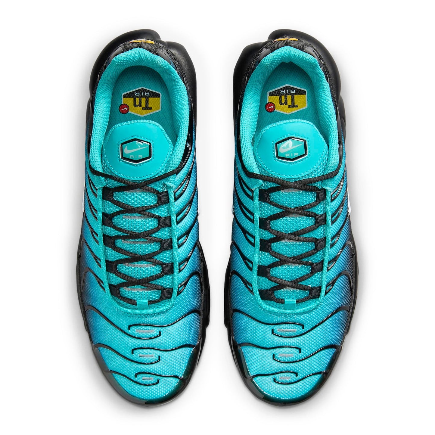 Trainers