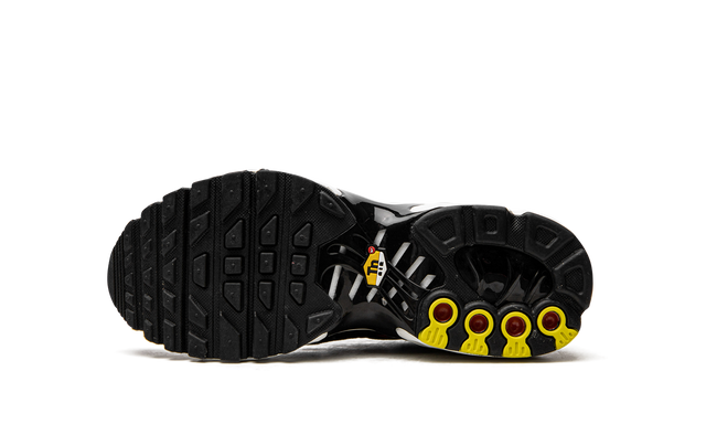 Nike Air Max Plus GS