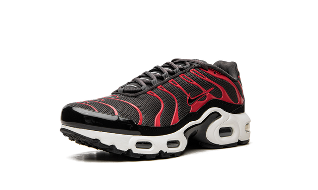 Nike Air Max Plus GS